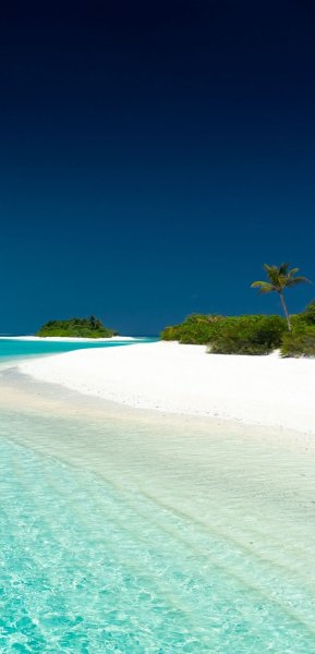 Красивый океан