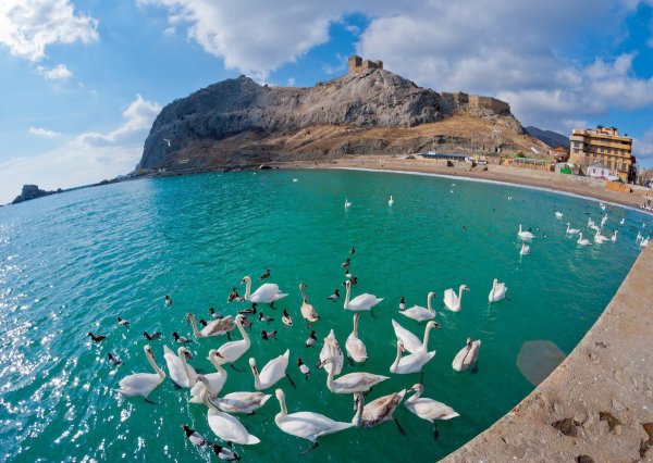 Судак Крым море