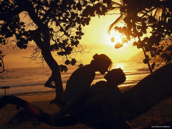 Романтический ужин на пляже