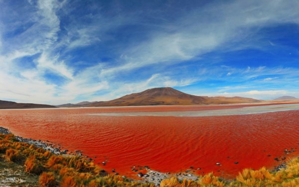 Красное море Африка