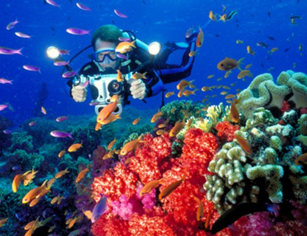 Коралловые рифы Фиджи