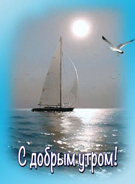 Доброе утро с видом на море