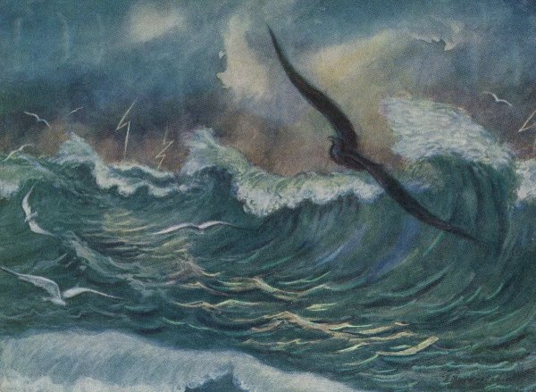 Максим Горький Буревестник