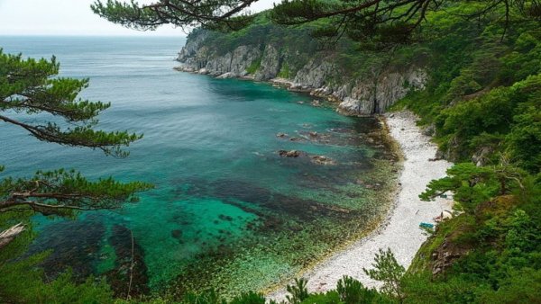 Приморье полуостров Гамова