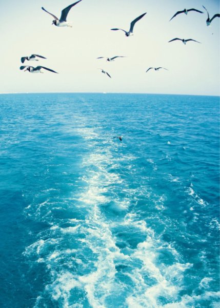 Спиной к морю