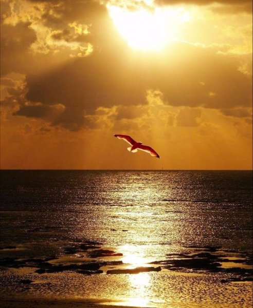 Летняя аватарка для девушки