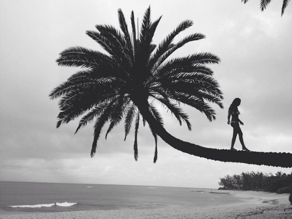 Человек на Пальме