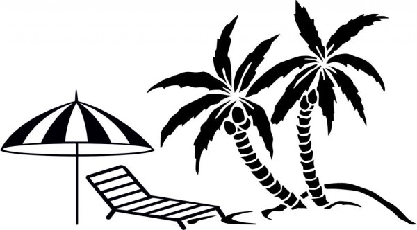 Пальма рисунок чб