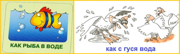 Ударить в грязь лицом фразеологизм