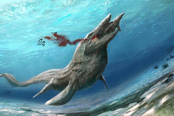 Пол Никлен морской леопард