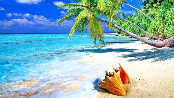 Парадиз остров Карибского моря море