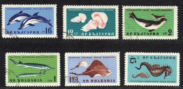 Фауна черного моря марки