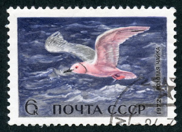 Почтовые марки