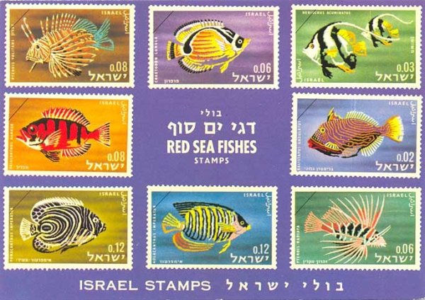 Маяк белая башня Мудьюг