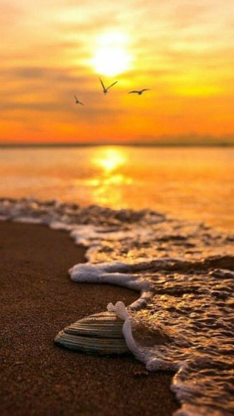 Красивые картинки на рабочий стол море