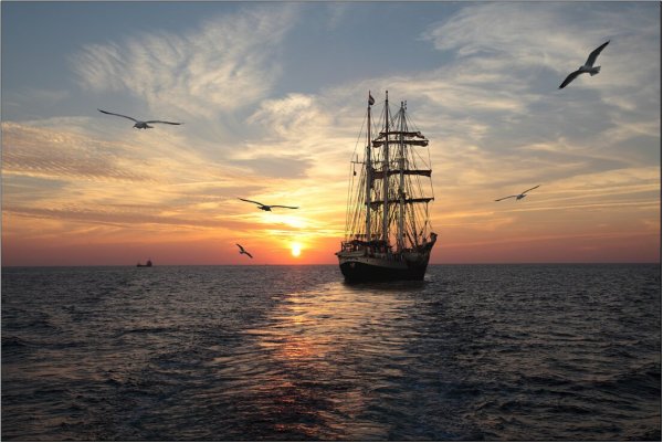 Чайки, корабль и море