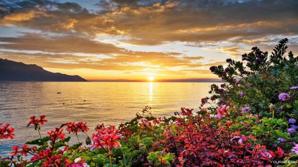 Рассвет море горы