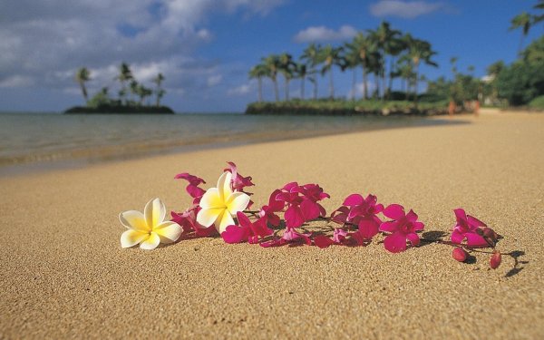 Гавайи цветы