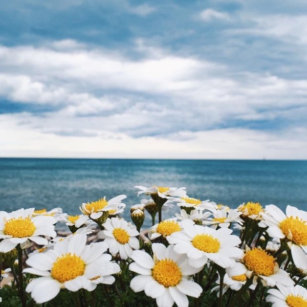 Лагуна Бора Бора