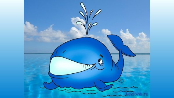 Мультик про китов и дельфинов