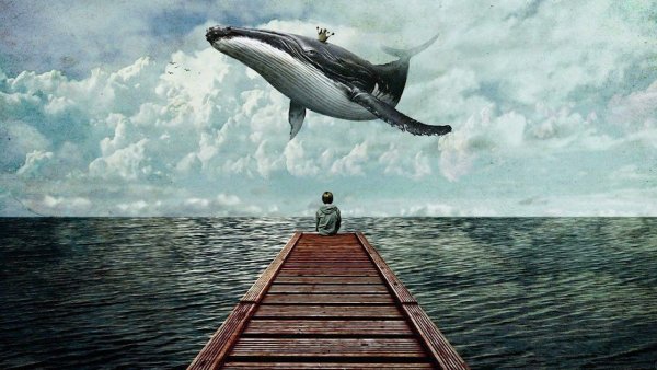 Киты в небе