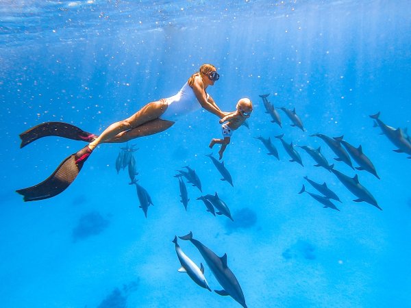 Фридайвинг с дельфинами