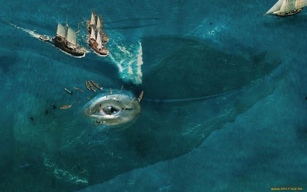 Кит в океане вид сверху