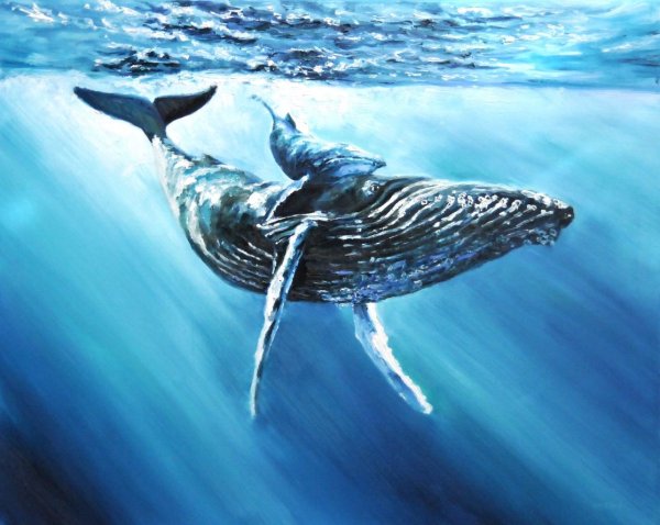 Синий кит арт
