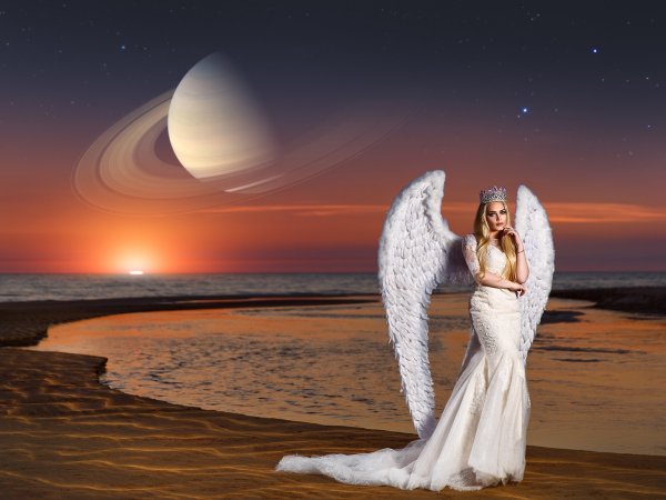 Девушка с белым крылом