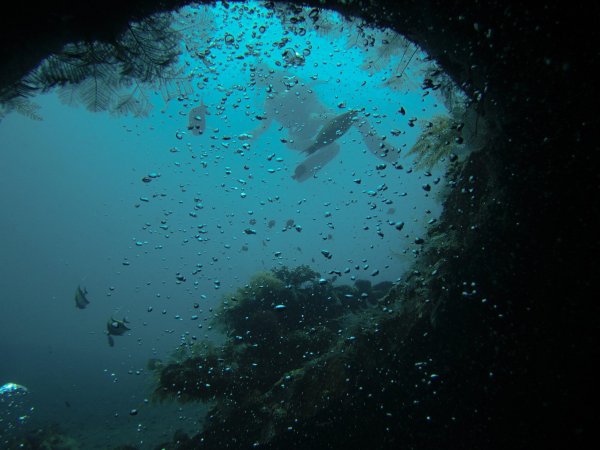 Глубокое море