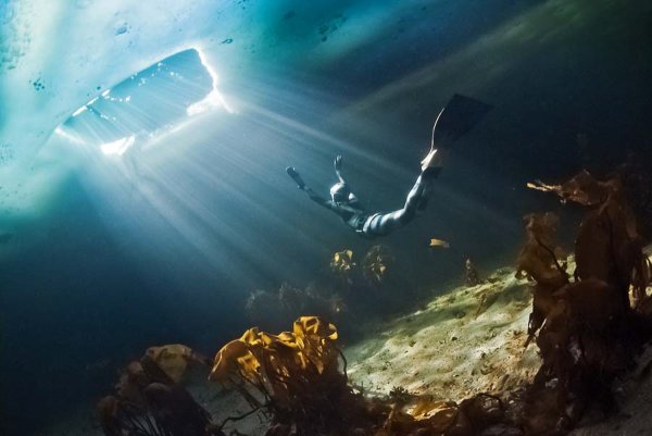 Подводный мир Балтийского моря