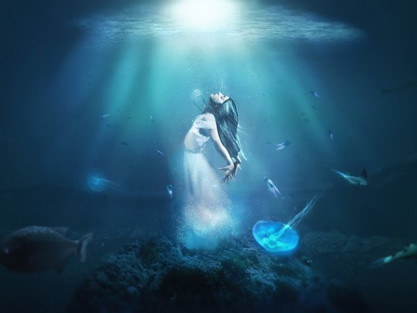 Загадочный подводный мир