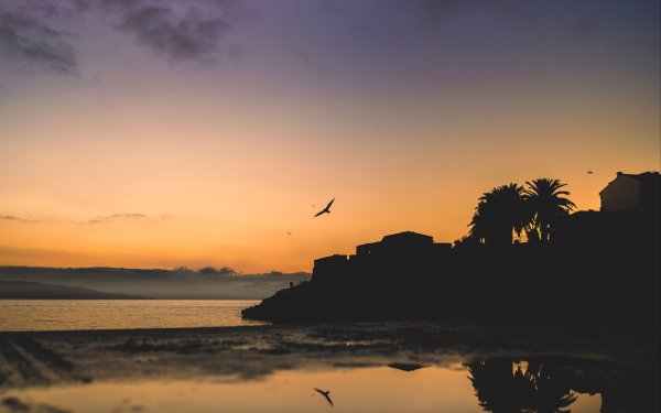 Отличного вечера и хорошего настроения море