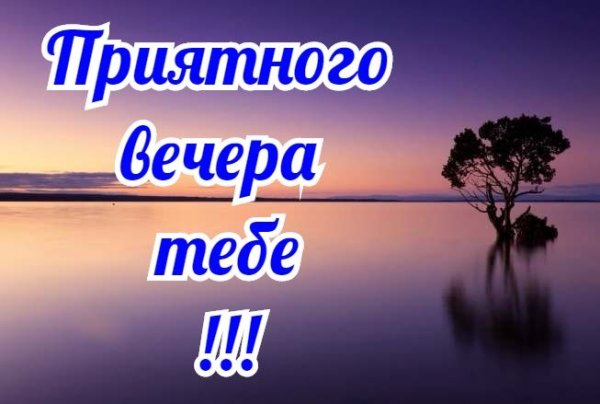 Сидела рядом тишина и понимающе молчала и ничего не