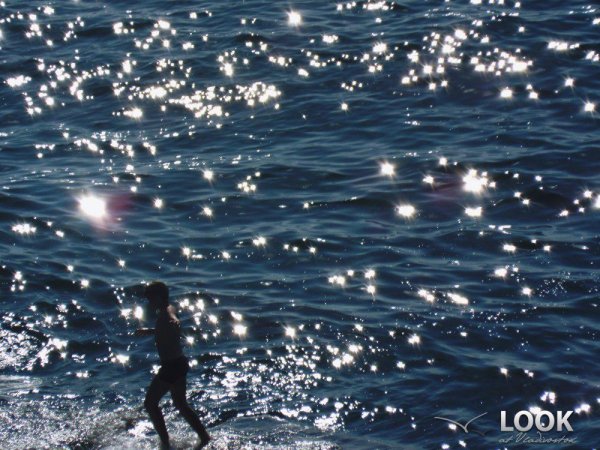 Звезды падают в море