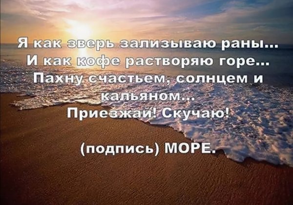 Как зверь зализываю раны