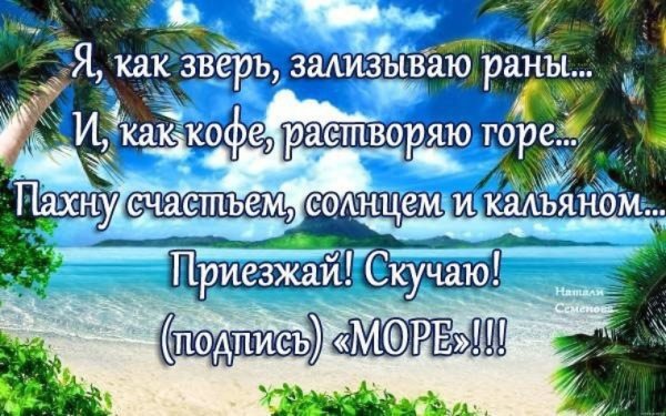 Я как зверь заливаю раны