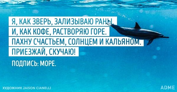 Я зализываю раны подпись море