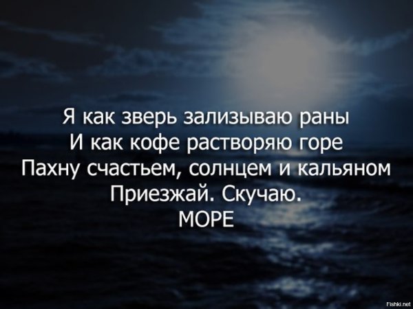 Я как зверь заливаю раны