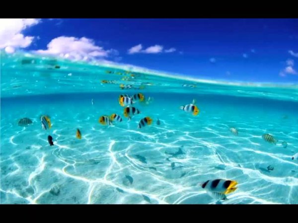 Море мотиватор