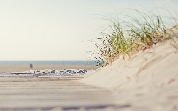 Море в бежевых тонах