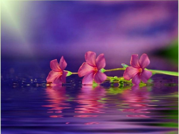 Умейте радоваться дням