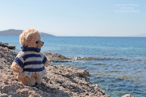 Мишка на берегу моря