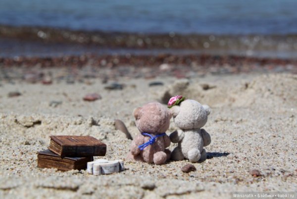 Медвежата на берегу