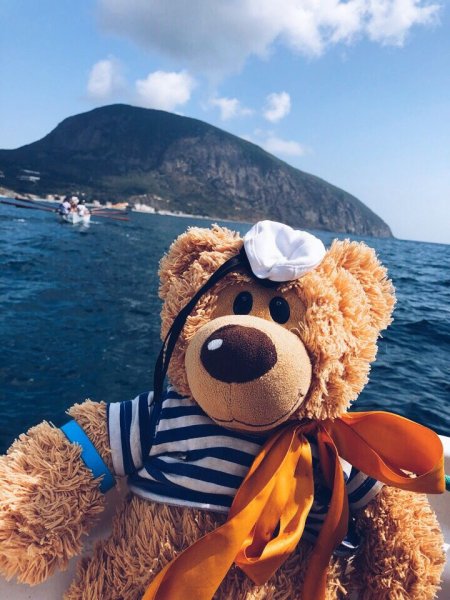 Плюшевый мишка на море