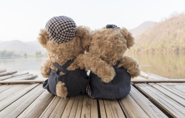 Камчатка медведи