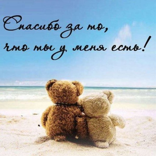 Остров Врангеля зима