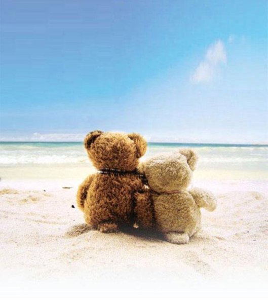 Одинокий медведь