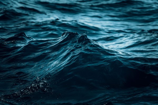 Темное море волны