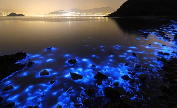 Темное море